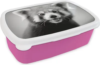 Produktbild von KitchenYeah® Lunchbox Brotzeit Brotdose 17x11 cm Glücklicher roter Panda - schwarz und weiß Kinder Brotzeitdose - Lunchpaket - Brotkasten  - Sandwich Box