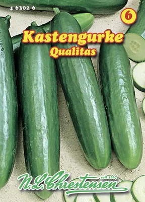 Produktbild von Kastengurke Qualitas | Gurkensamen von N.L. Chrestensen