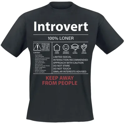 Produktbild von Sprüche T-Shirt Herren Introvert schwarz Funartikel, Sprüche 100% Baumwolle 5XL
