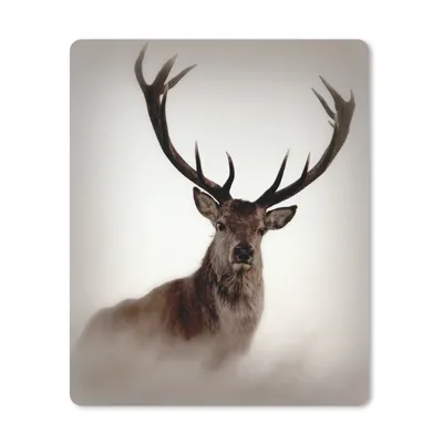 Produktbild von MuchoWow® Mauspad Mousepad Porträt - Hirsch - Geweih 19x23 cm - Mousepads - Maus Mat - Pad - Mausunterlage - Mauspads - Spielen