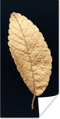 Produktbild von MuchoWow® Poster Schwarz und Gold - Blätter - Schwarz - Pflanzen - Luxus 75x150 cm - Dekoration für die Wände