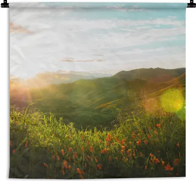 Produktbild von MuchoWow® Wandteppich Wandbehang Hügel - Sonnenuntergang - Gras - Grün 120x120 cm Tapisserie Dekoration Wandtuch - Modern - Baumwollgewebe