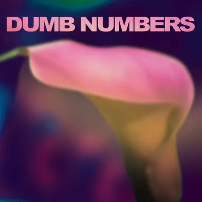 Produktbild von Dumb Numbers-Dumb Numbers