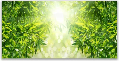 Produktbild von Tulup Leinwand-Bilder 120x60 Wandbild Canvas Kunstdruck Blätter Natur