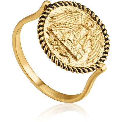 Produktbild von Ania Haie Jewellery R020-01G-56 Damenring