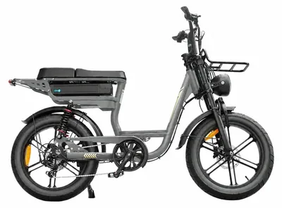 Image de V20 Comfort - Fatbike électrique avec antivol à chaîne - 20 pouces - Moteur 250W - Autonomie 60 km - 7 vitesses - Freins à disque hydrauliques - Batterie 720Wh - Cadre bas - Double suspension - Gris