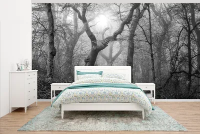 Produktbild von MuchoWow® Fototapete für Wohnzimmer oder Schlafzimmer Wandtapete Vinyl Motivtapete Alter Waldweg im Nebel - schwarz und weiß - 465x260 cm - Hintergrundbild