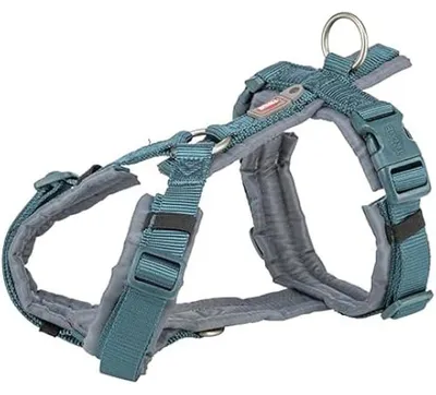 Produktbild von Premium-Hundegeschirr für Wanderungen, Größe M–L (62–74 cm), Breite 25 mm, Farbe: Petrol und grafit