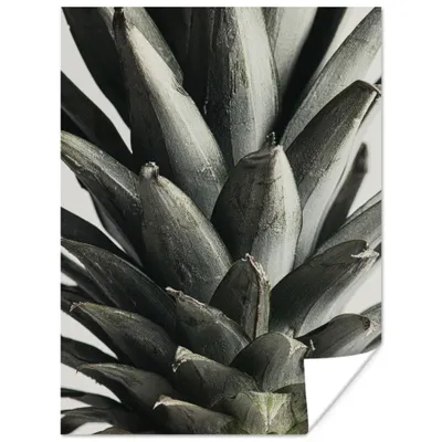 Produktbild von MuchoWow® Poster Ananas - Grün - Stillleben - Natur 120x160 cm - Wandbilder