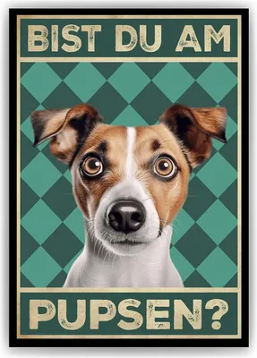 Produktbild von Jack Russel Terrier - Bist du am Pupsen? Hunde Poster Badezimmer Gästebad Wandbild Klo Toilette Dekoration Lustiges Gäste-WC Bild DIN A4 – DIN A4 (21x29.7cm)