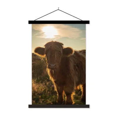 Produktbild von MuchoWow® Textilposter Schottischer Highlander - Sonnenuntergang - Gras 60x90 cm mit schwarzem Rahmen - Poster Wohnzimmer