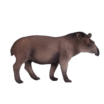 Image de Mojo Wildlife Tapir brésilien - 381023