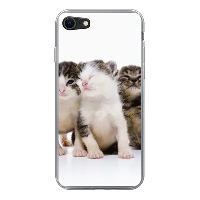Produktbild von MuchoWow® Handyhülle Schutzhülle Hülle für iPhone 8 Katze - Haustiere - Fell - Porträt Silikon Softcase Handy Hülle - Schutzhaube