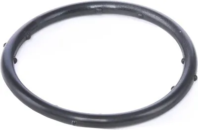 Produktbild von TOPRAN Dichtung Kühlmittelflansch 100 721 motorseitig für VW POLO (9N_) 3 15mm