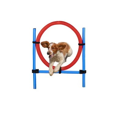 Produktbild von maxxpro Agility Ring - Set Agility für Hunde - 85 x 3 cm - Kunststoff - Blau/Rot
