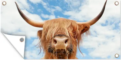 Produktbild von MuchoWow® 160x80 cm Outdoor-Poster Gartendeko Sichtschutz Garten Poster für den Garten  Schottischer Highlander - Wolke - Tiere