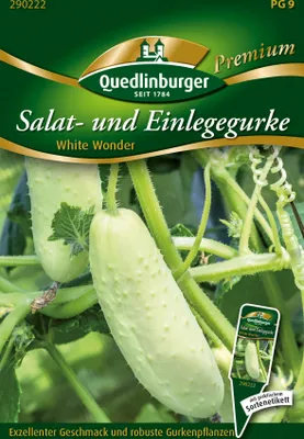 Produktbild von Gurke White Wonder | Salatgurkensamen von Quedlinburger