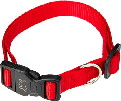 Immagine prodotto di collare per cani 'club c' mm 15 x cm 30÷44 - col. blu
