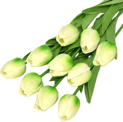 Produktbild von 10 stücke künstliche blumen zarte realistische bunte dekorative künstliche tulpen blumen zweig haushaltswaren-Hellgrün