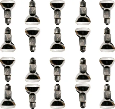 Produktbild von 20 x Leuci Reflektor Glühbirne R63 60W E27 matt Glühlampe 60 Watt warmweiß dimmbar