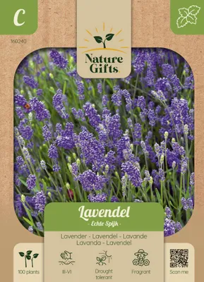 Produktbild von Warentuin Produkt – Ein Artikel zur Ergänzung Ihrer Ausstattung für Haus und Garten