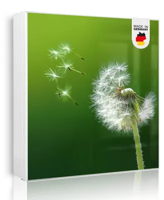 Produktbild von banjado Schlüsselkasten aus Metall, 30x30cm groß mit 32 Haken, als Magnettafel nutzbar, Korpus weiß, Anschlag rechts, Pusteblume [SKGW1 10074]