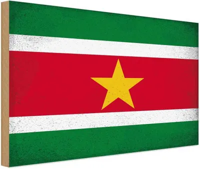 Produktbild von vianmo Holzschild 30x40 cm Suriname Flagge Fahne Wappen