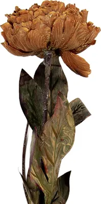 Image de Clayre & Eef Fleur artificielle 10x10x65 cm Marron Plastique