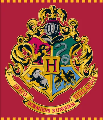 Obrázek produktu pro Dětská fleecová deka HARRY POTTER, 120 x 150 cm