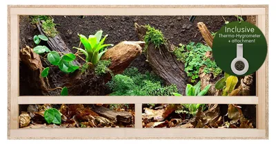 Produktbild von Holz Terrarium für Reptilien und Amphibien, 60 x 30 x 30 cm