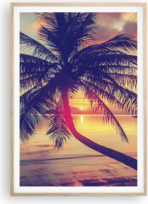 Produktbild von Gerahmtes Poster - Rahmen in heller Eiche - Meer Strand Palme - 70x100 cm - Wand Bild - Wanddeko - Wandbilder - Wandposter - Bilderrahmen - Bilder - Kunstdruck - Wandbild - P2NPA70x100-3925