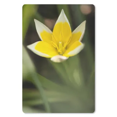Produktbild von MuchoWow® Mauspad Mousepad Blume - Garten - Gelb 40x60 cm - Mousepads - Maus Mat - Pad - Mausunterlage - Schreibtisch Accesoire