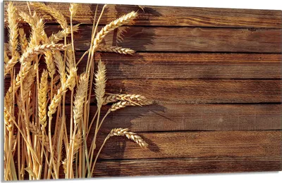 Immagine prodotto di Piastra di copertura del piano cottura 80x52cm 1 pezzo in Vetroceramica, paraspruzzi, legno di muesli