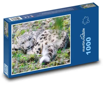 Zdjęcie produktu dla Puzzle 1000 Odpoczywający Lampart - martinpuzzle