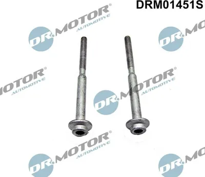 Image de Vis D'injecteur Vw Golf 1,6Tdi 13- 2Pcs
