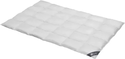 Produktbild von Daunendecke 135x200 cm 100 % Gänsedaunen   Bettdecke Steppdecke Daunen SPESSARTTRAUM PLATIN
