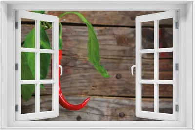 Produktbild von Wallario Wandbild mit Fenster-Illusion: Hängende Chili-Schote, Größe: 61 x 91,5 cm, Poster mit weißem Aluminiumrahmen