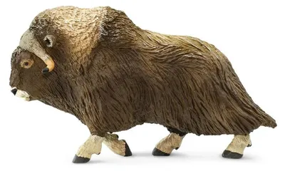 Produktbild von Safari Ltd Moschusochsenfigur Braun From 3 Years Kinder Braun From 3 Years