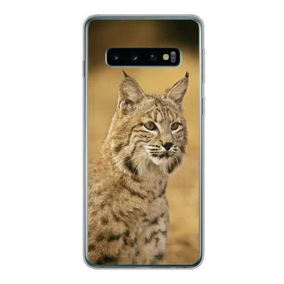 Produktbild von MuchoWow® Handyhülle Schutzhülle Hülle für Samsung Galaxy S10 Luchs - Braun - Gras Silikon Softcase Handy Hülle - Handytasche