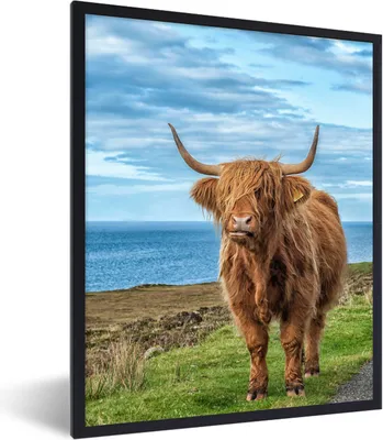 Produktbild von MuchoWow® Gerahmtes Poster Schottischer Highlander - Wasser - Hörner 60x80 cm - Poster mit Schwarzem Bilderrahmen Wandposter Rahmen Foto Bilder - Premium - Wanddeko Wohnzimmer