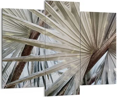 Produktbild von Bild auf Leinwand - Leinwandbild - 3 Teile - Blatt Palme Natur - 130x100cm - Wand Bild - Wanddeko - Wandbilder - Leinwanddruck - Bilder - Wanddekoration - Leinwand bilder - Wandbild - CB130x100-5056