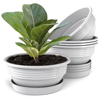 Produktbild von Plastard Blumenschale 5er Set Weiß Ø 45 cm mit Untersetzer - Pflanzschale