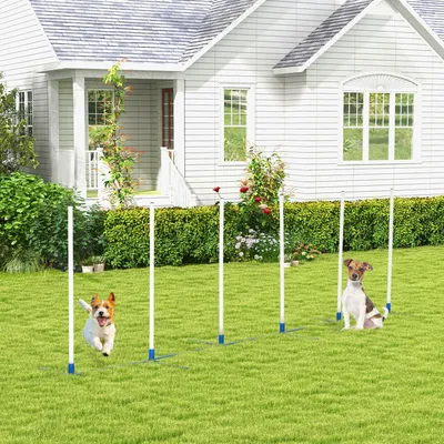 Produktbild von Hunde Agility Set 6-teilig, Steckhürdenset Slalomstangen klappbar, PE-Kunststoff, Weiß+Blau | 305 x 60 x 94 cm | 2,4 kg | mit Oxford-Tragetasche