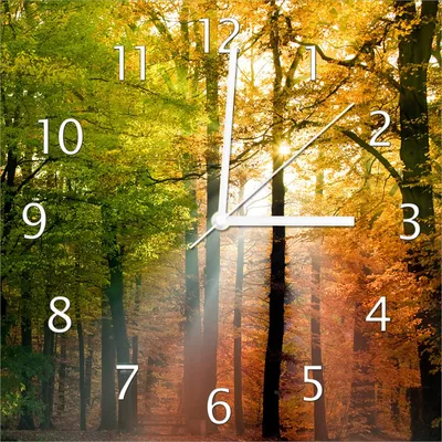 Produktbild von Wallario Design Wanduhr Sonnenuntergang im Herbstwald aus Echtglas, Größe 30 x 30 cm