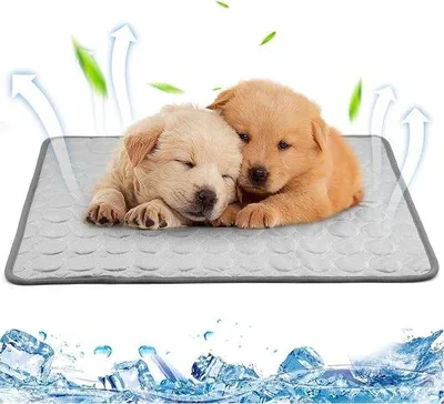 Productafbeelding van Koelmat voor honden - Antislip en wasbaar - 60 x 51 cm - Ademend zomerkussen voor middelgrote honden