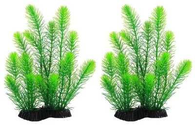Immagine prodotto di Set di 2 piante artificiali per acquari