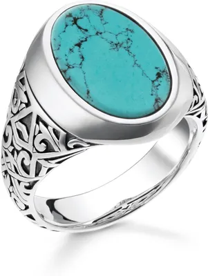 Image de Thomas Sabo TR2242-878-17 Bague pour homme, Taille de la bague:54