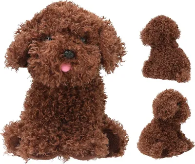 Produktbild von Depesche Vertrieb GmbH & Co. K TOPModel Plüsch Hund Cody dunkelbraun 16 cm FUR EVER FRIENDS Sonstige
