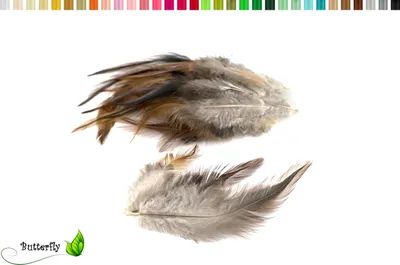Produktbild von 20 Hahnenfedern DACHS ca. 10-15cm, Farbauswahl:natur rotbraun