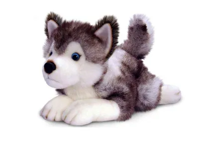 Immagine prodotto di Cagnolino di peluche husky 35 cm